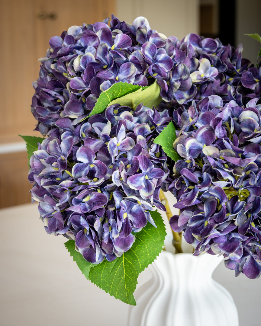 Autumn Mulberry Hydrangea