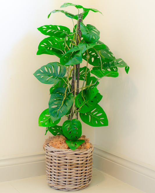 Artificial Monstera Monkey Tree