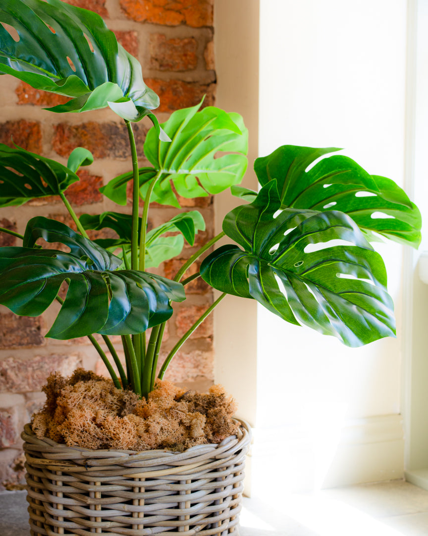 Artificial Monstera Plant