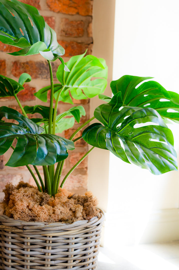 Artificial Monstera Plant