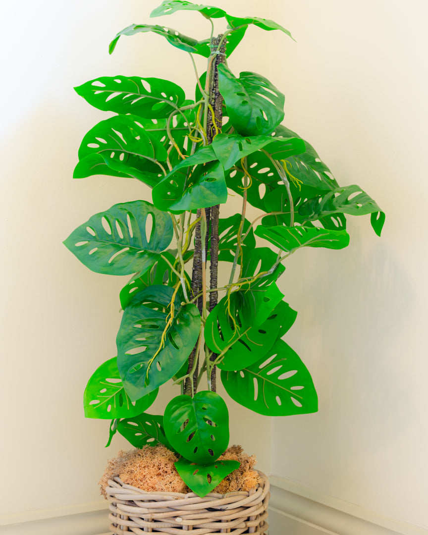 Artificial Monstera Monkey Tree