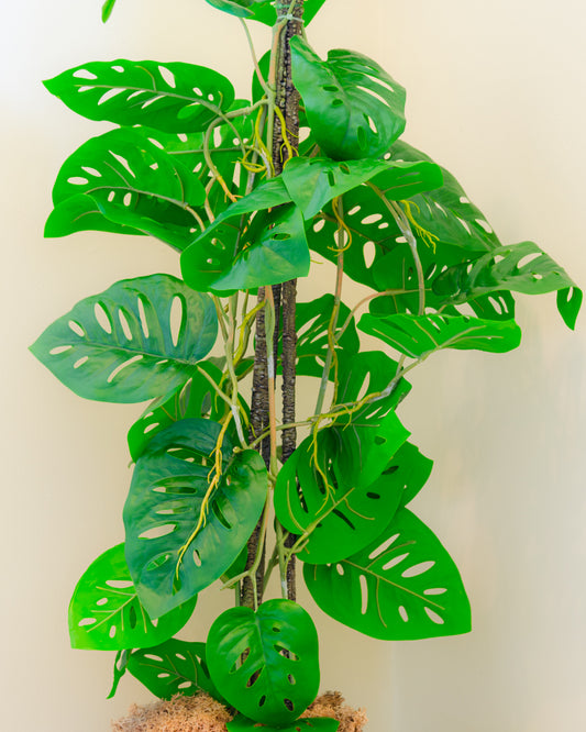 Artificial Monstera Monkey Tree