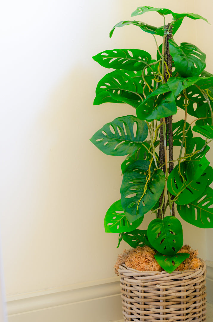 Artificial Monstera Monkey Tree