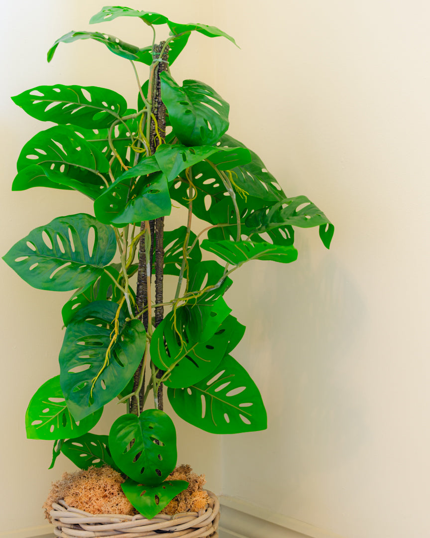 Artificial Monstera Monkey Tree