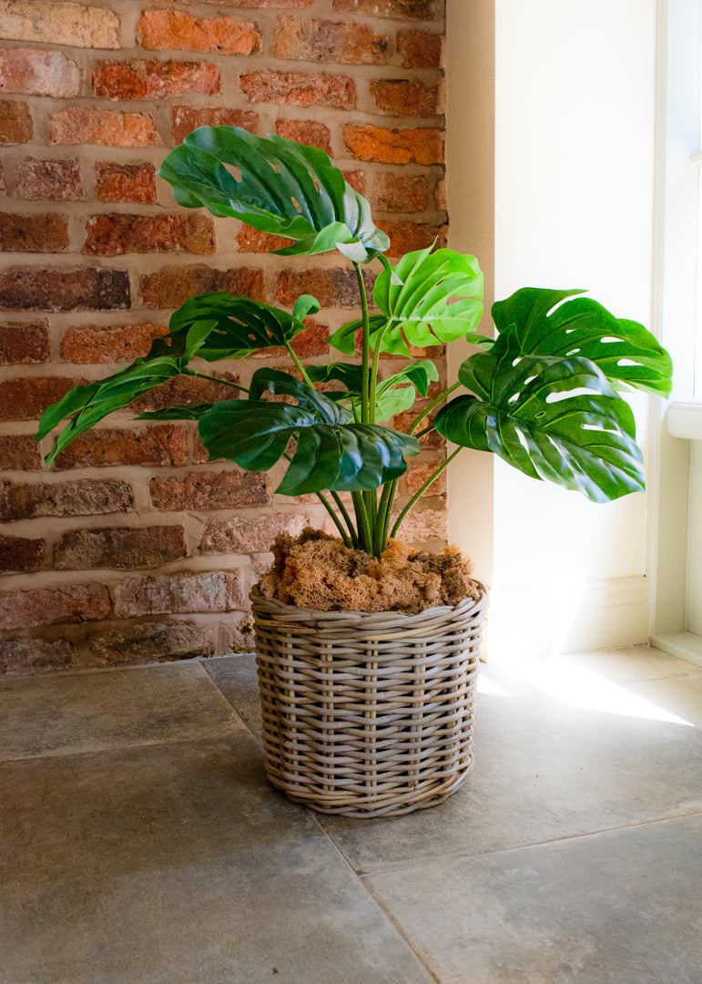 Artificial Monstera Plant