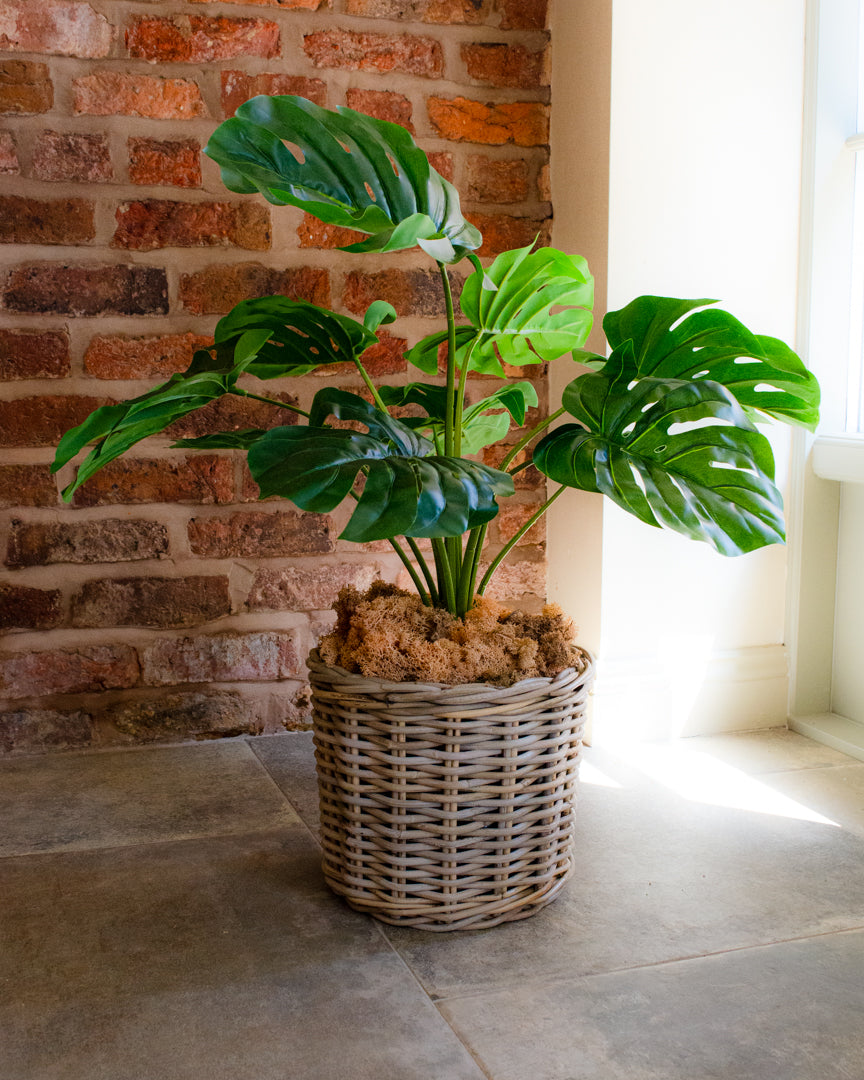 Artificial Monstera Plant