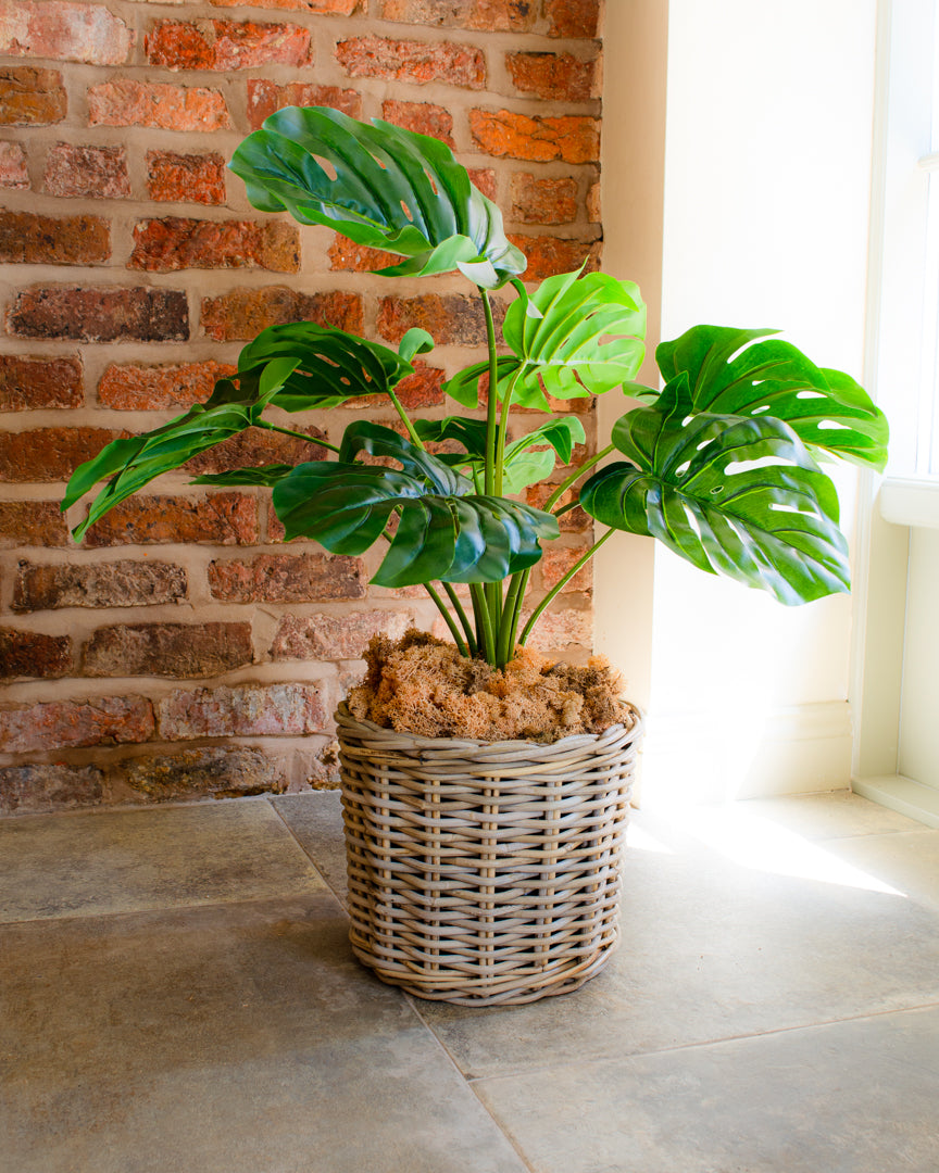 Artificial Monstera Plant