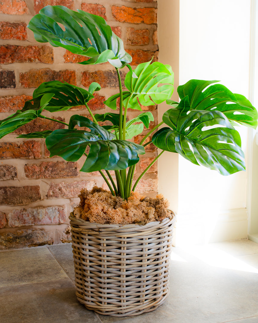 Artificial Monstera Plant