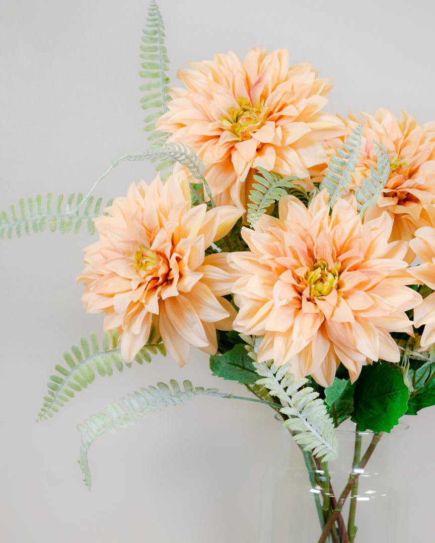 Champagne Dahlia Stem