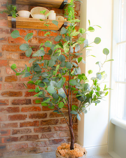 eucalyptus plant uk indoor Artificial Luxury Eucalyptus Tree – Stem & Silk