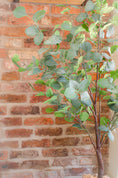 Load image into Gallery viewer, Artificial Luxury Eucalyptus Tree
