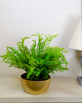 Load image into Gallery viewer, Artificial Forest Fern in Gold Pot
