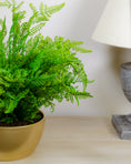 Load image into Gallery viewer, Artificial Forest Fern in Gold Pot
