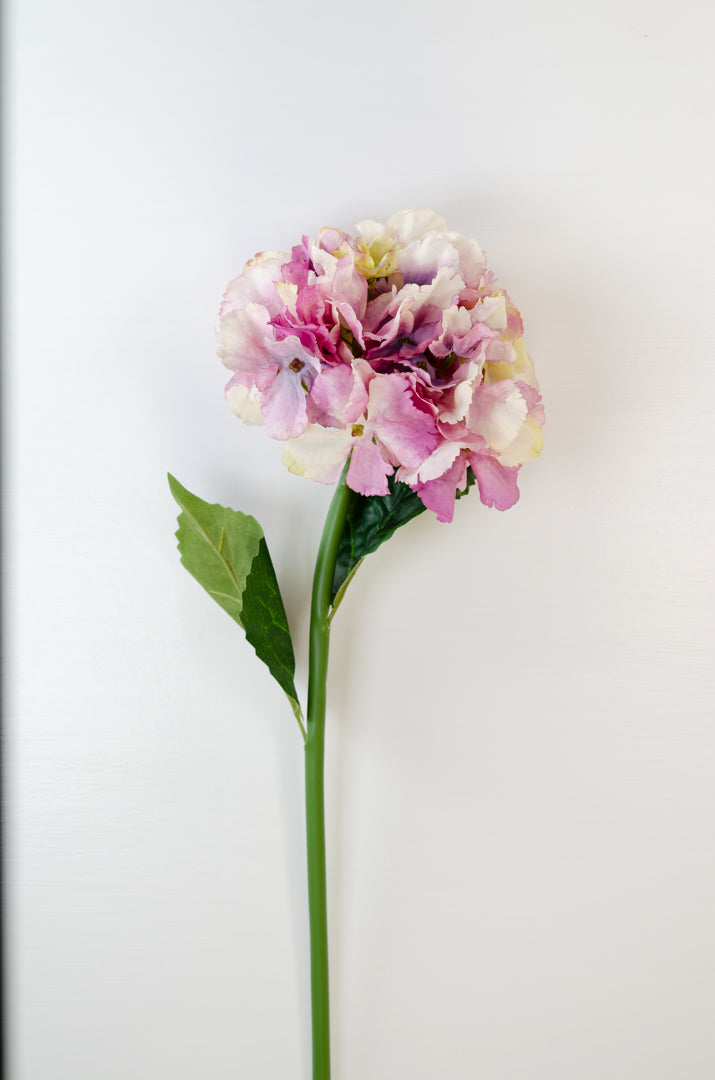 Pink/Lilac Hydrangea Stem