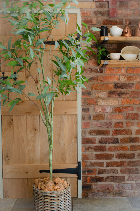 Artificial Eucalyptus Globulus Tree