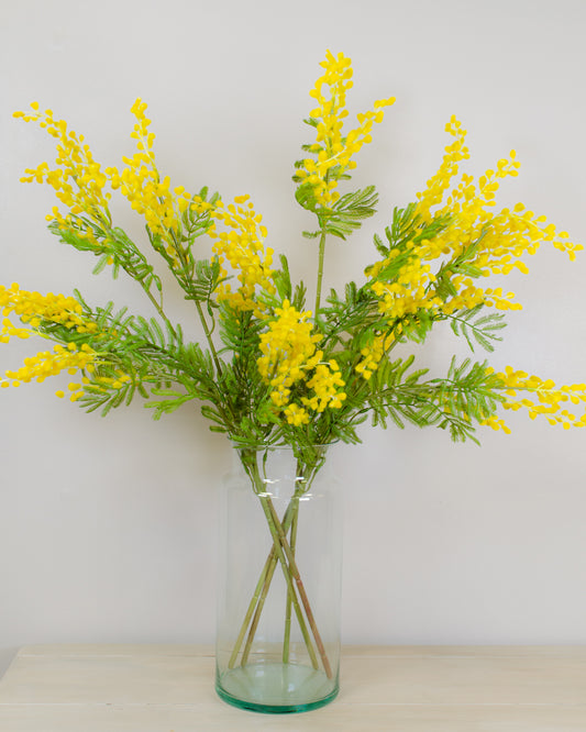 Yellow Mimosa Spray