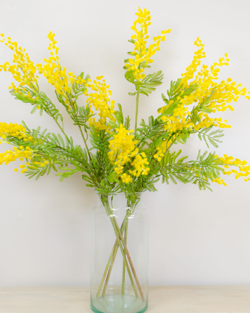 Yellow Mimosa Spray