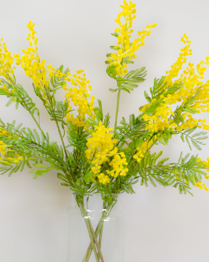 Yellow Mimosa Spray