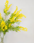 Load image into Gallery viewer, Yellow Mimosa Spray
