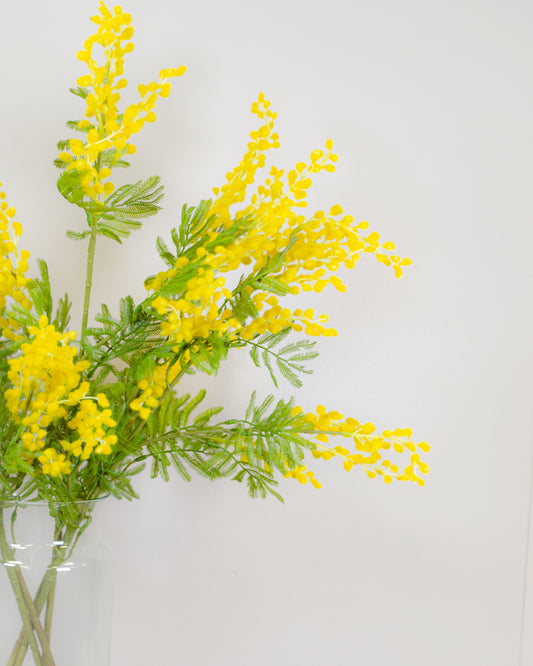 Yellow Mimosa Spray