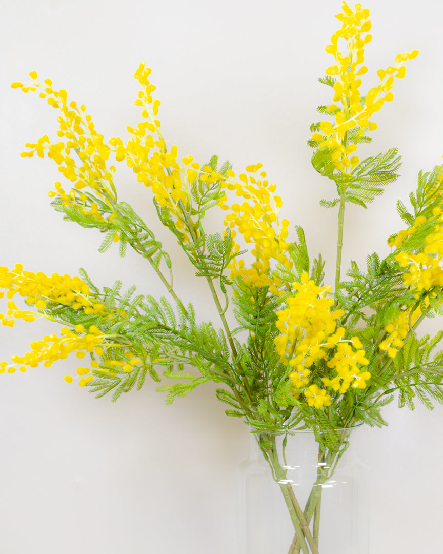 Yellow Mimosa Spray