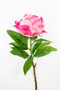 Load image into Gallery viewer, Garden Peonies (3 colours)
