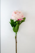 Load image into Gallery viewer, Garden Peonies (3 colours)
