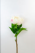 Load image into Gallery viewer, Garden Peonies (3 colours)
