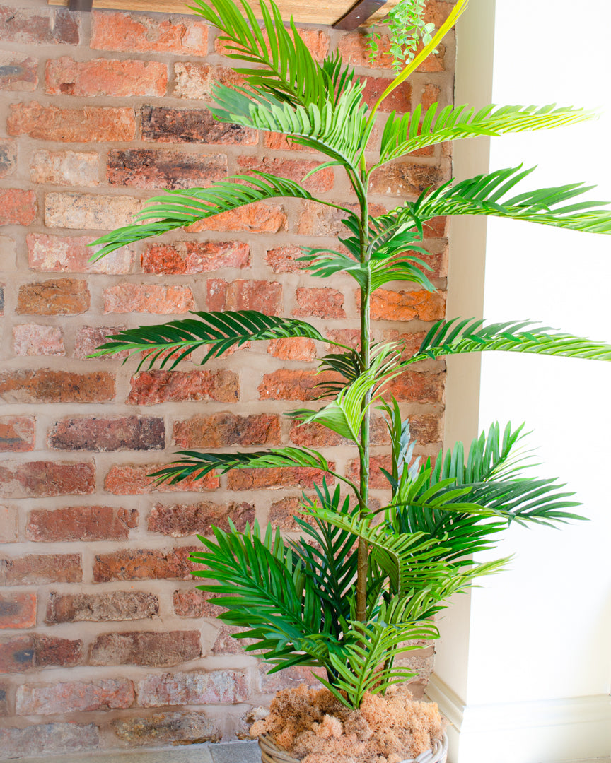 Artificial Phoenix Palm Tree (2 sizes)