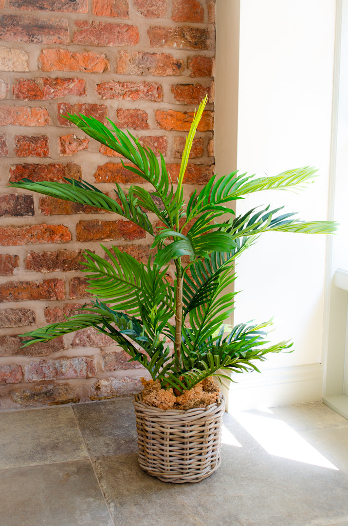 Artificial Phoenix Palm Tree (2 sizes)