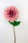 Load image into Gallery viewer, Dusty Pink Dahlia Stem
