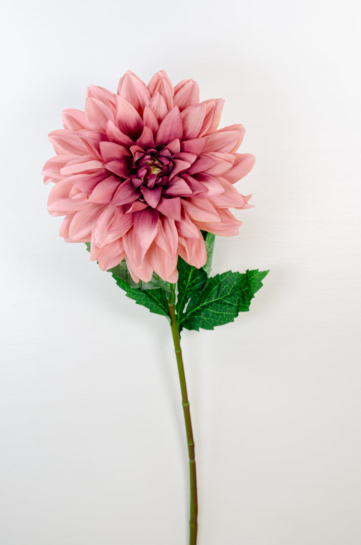 Dusty Pink Dahlia Stem