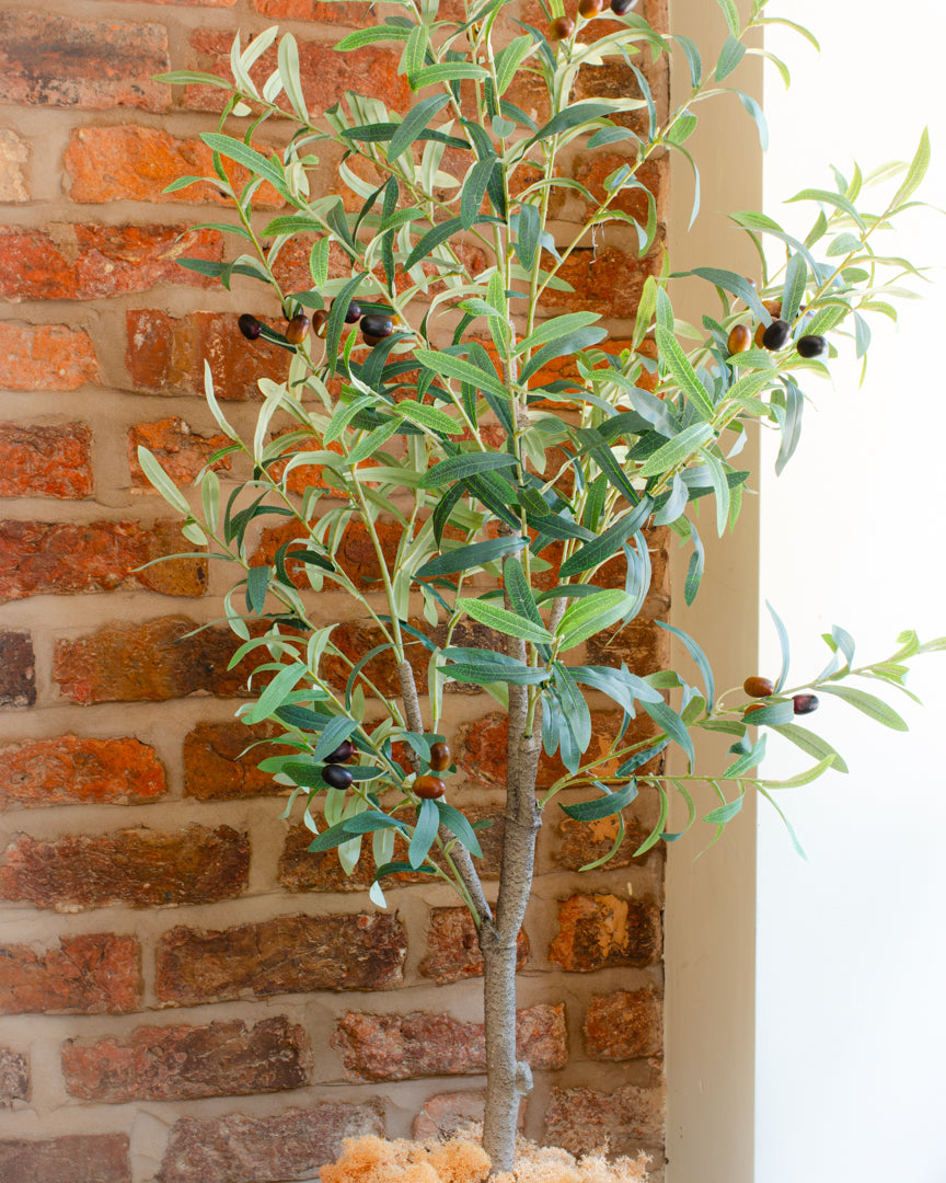 Artificial Realistic Olive Tree (3 sizes)