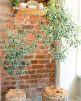 Load image into Gallery viewer, Artificial Realistic Olive Tree (3 sizes)
