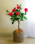 Load image into Gallery viewer, Artificial Rose Tree - Magenta
