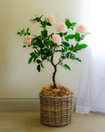 Load image into Gallery viewer, Artificial Rose Tree - Peach
