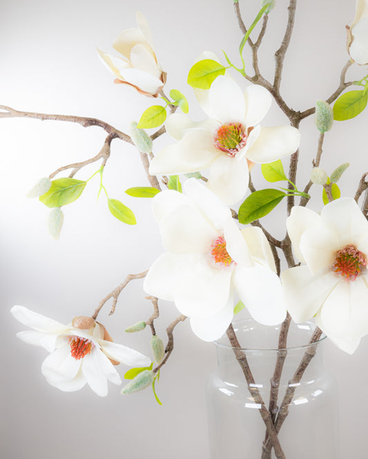 Large Magnolia Branch - Ivory