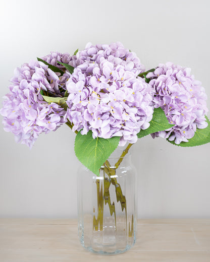 Pastel Spring Hydrangea - Lilac