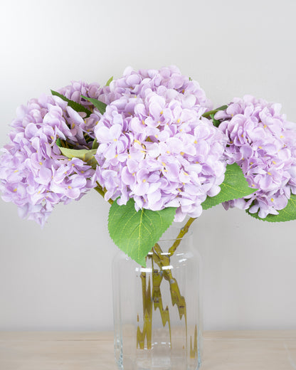 Pastel Spring Hydrangea - Lilac