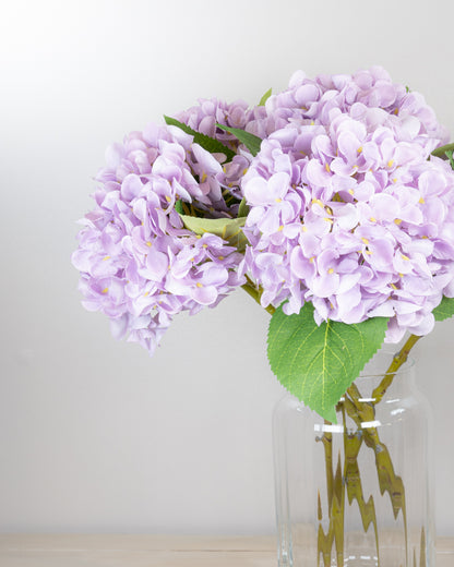 Pastel Spring Hydrangea - Lilac