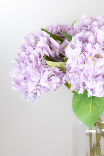Pastel Spring Hydrangea - Lilac