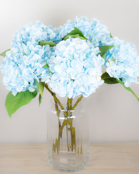 Pastel Spring Hydrangea - Blue