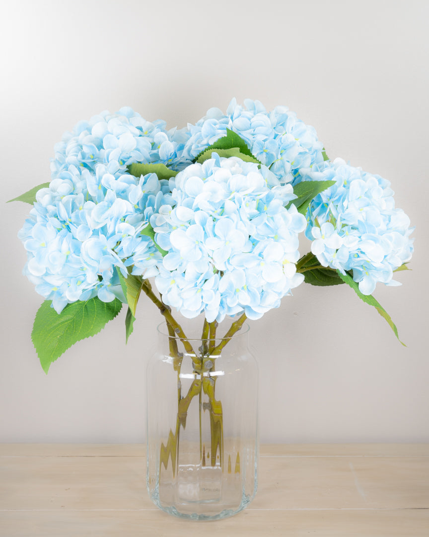 Pastel Spring Hydrangea - Blue