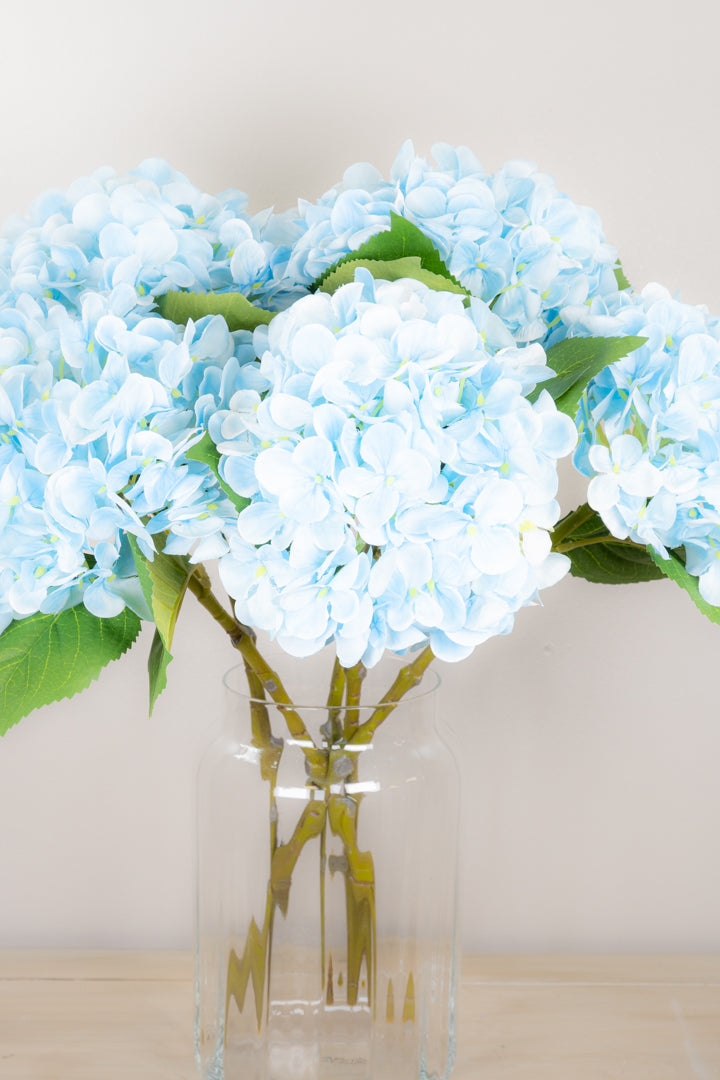 Pastel Spring Hydrangea - Blue