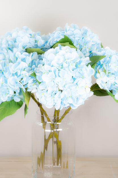 Pastel Spring Hydrangea - Blue