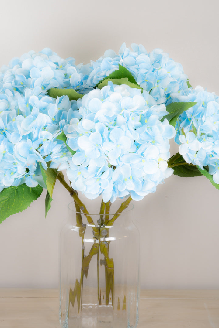 Pastel Spring Hydrangea - Blue