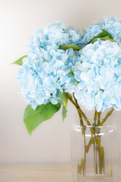 Pastel Spring Hydrangea - Blue