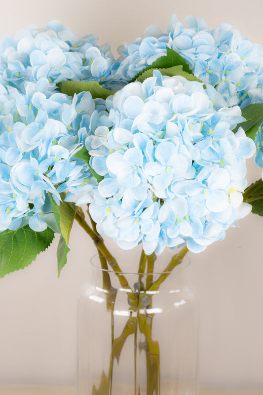 Pastel Spring Hydrangea - Blue