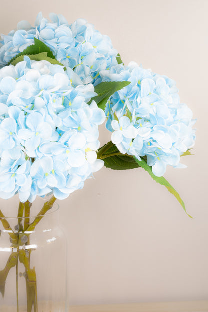 Pastel Spring Hydrangea - Blue