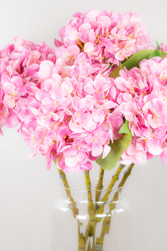 Pastel Spring Hydrangea - Pink